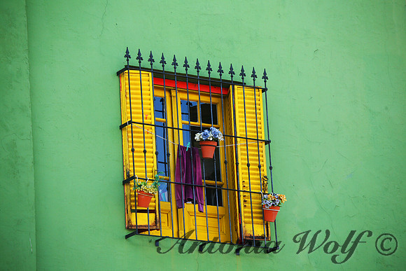 Fun Window De La Boca