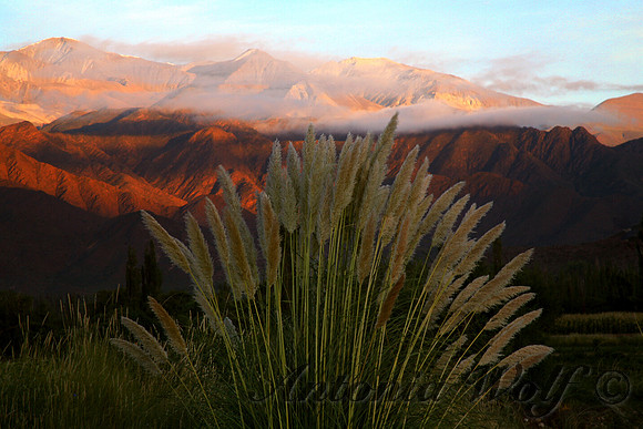 Morning Rising in the Andes:Argentina16x24