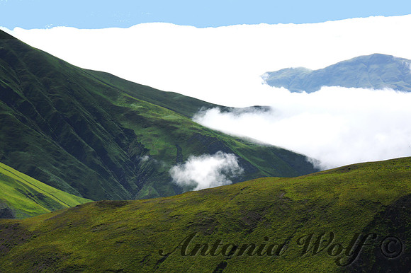Mystical Bishop Valley