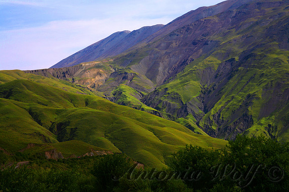 Mystical Bishop Valley