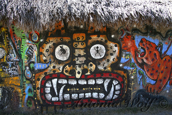 Graffiti at Wildlife Sanctuary