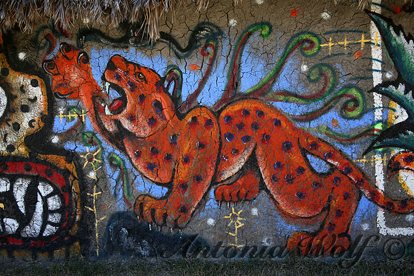 Graffity for Wildlife Sanctuary