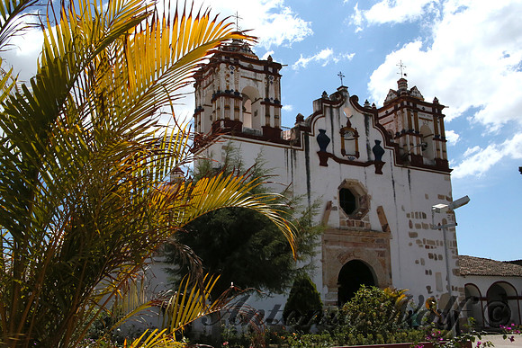 Palms by the Church