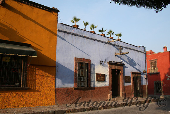 Street of Colors in San Miguel