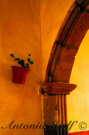 Sun and Terracotta with Plant