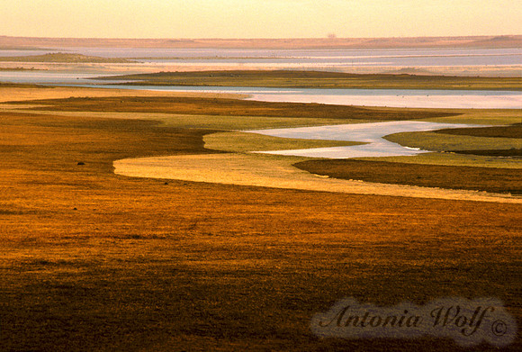 Amber Landscape Nine Pipe Montana