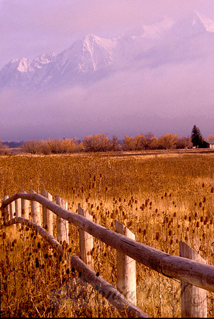 Along the Fence in the Mission Mountains