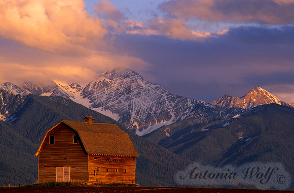Catching the Last Light