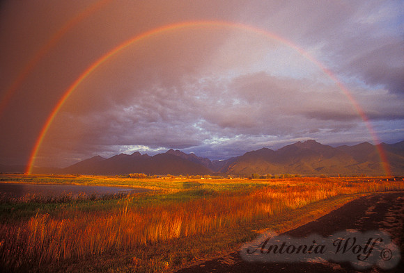 Ninepipe Rainbow after an August Thunder Storm