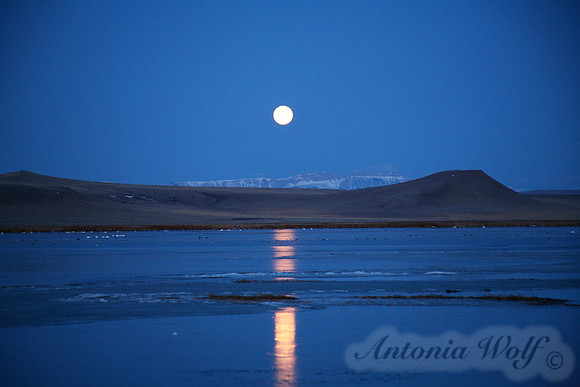 Moonrise at Freeze Lake