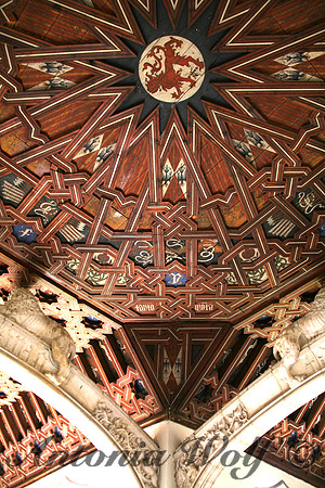 Toledo The Lion Ceiling