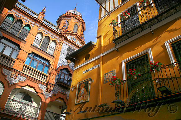 Seville House of Cordoba