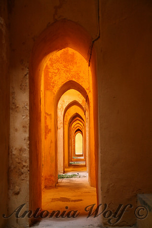 Magical Journey