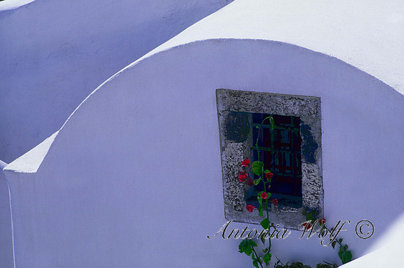 White Arches with window flower