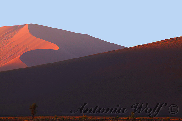 Geometry Sunrise in the Dunes Namibia