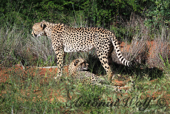 Mother and Daughter Namibia