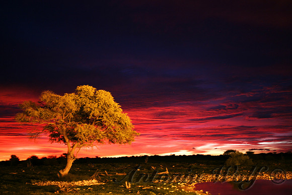 Eerie Etosha Sunset Namibia