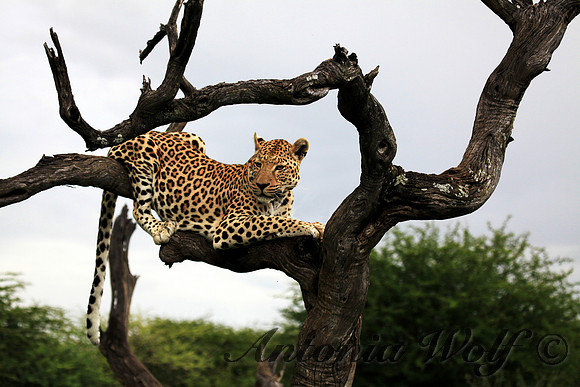 Hanging Out after the Hunt
