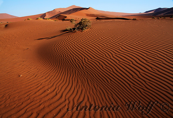 Sand Dunes of Namibia