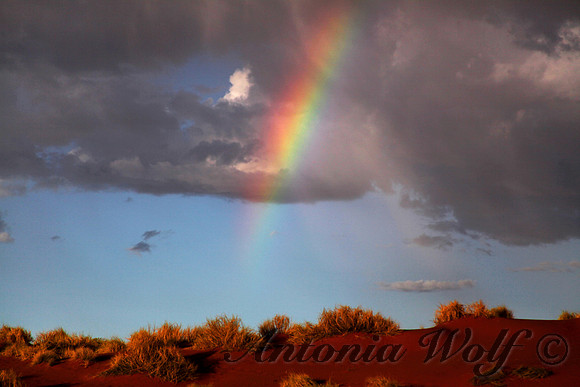 Rainbow in the Desert Namibia