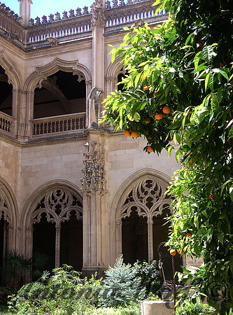 Cathedral Courtyard in Sevilla with Mandarine Tree