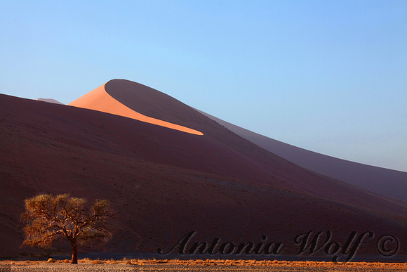 Wind as Artist Namibia