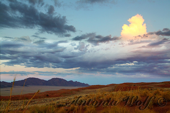 Namib Rand Reseve in the early Morning