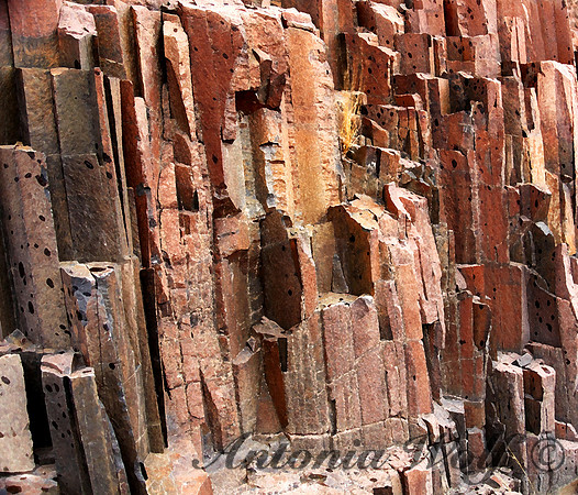 Organ Pipe in Damaraland