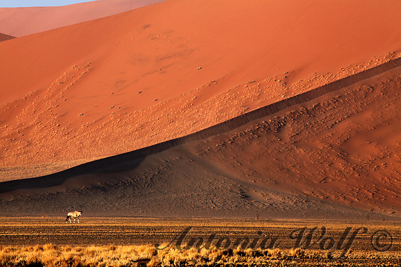 Red Earth Namibia