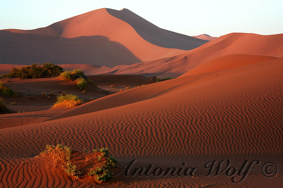 Sensoueness Dunes of Sossusvlei