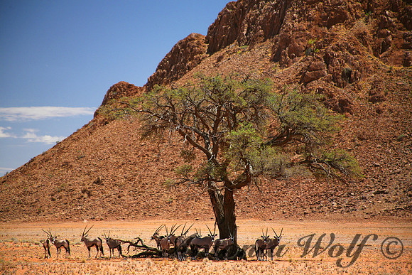 Namib Rand Nature Reserve
