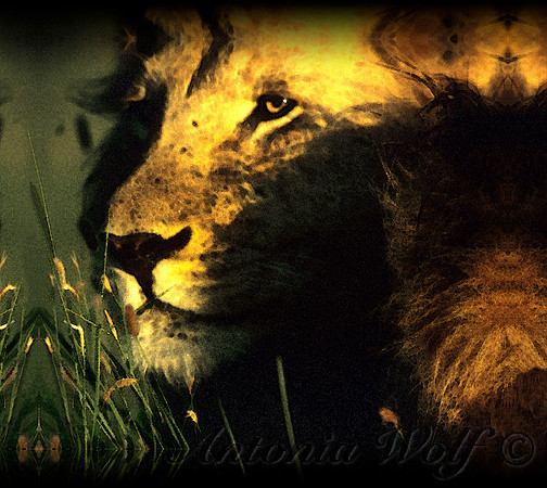 Lion King