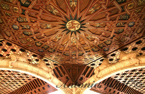 Ceiling of the Lions