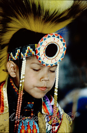 Young Blackfoot Warrior