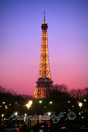 Eifel Tower in the Sweet Light