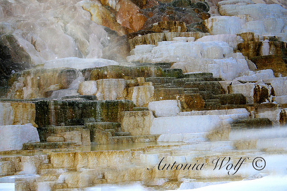 Cinderella Steps