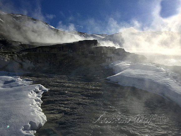 Splendor of Yellowstone