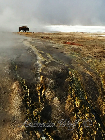 Alone at the Thermal Wonder