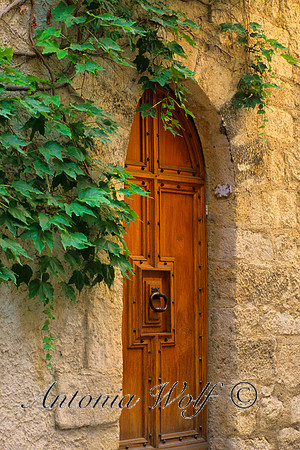 Door with Ivy   France