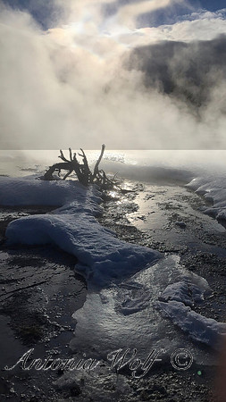 Winter Solitude