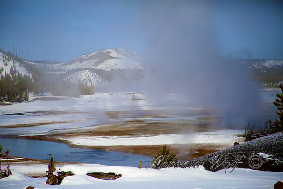 Winter Thermal Landscape